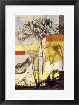 Framed Lily Mix II Print