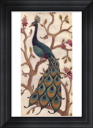 Framed Peacock Fresco II Print