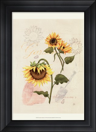 Framed Romantic Sunflower I Print