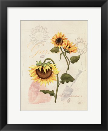 Framed Romantic Sunflower I Print