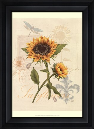 Framed Romantic Sunflower II Print