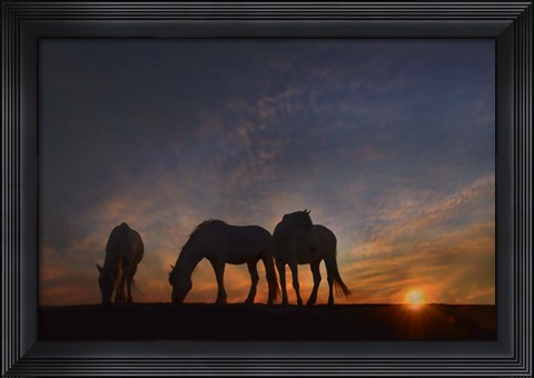 Framed Camargue Sunrise Print