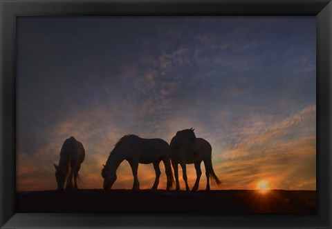 Framed Camargue Sunrise Print