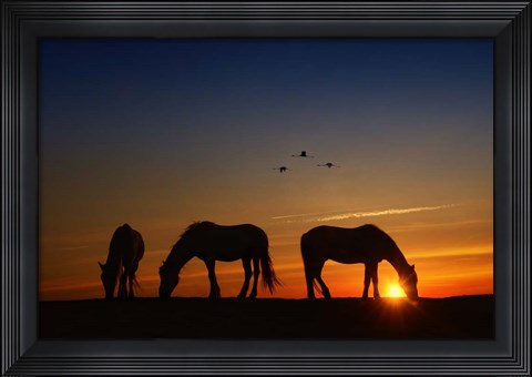 Framed Fly Over Print