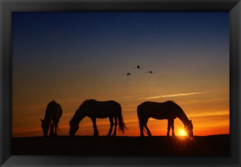Framed Fly Over Print