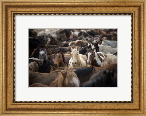 Framed Meeting Place Print