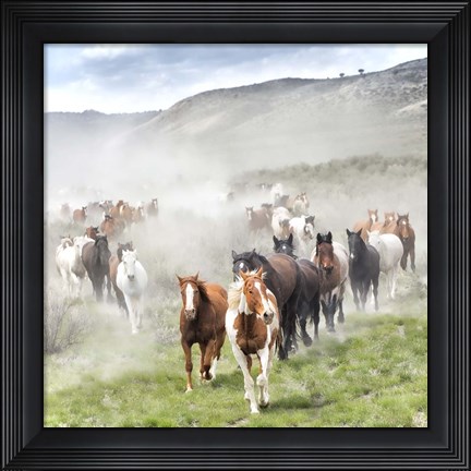 Framed Stampede II Print