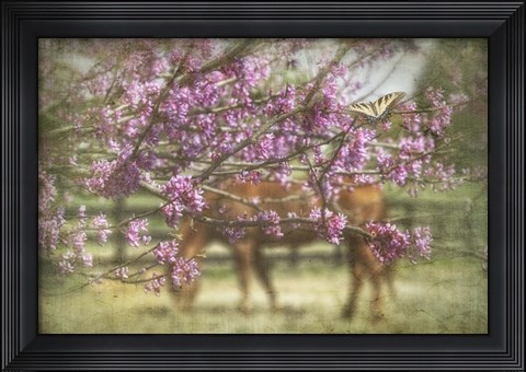 Framed Spring has Sprung Print
