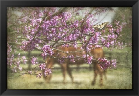 Framed Spring has Sprung Print