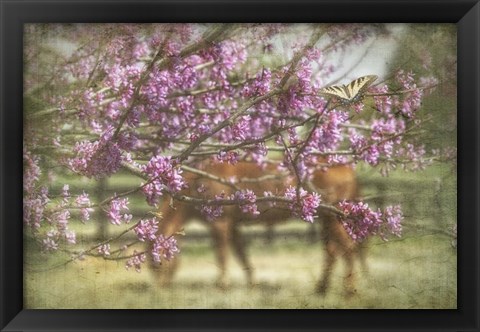 Framed Spring has Sprung Print