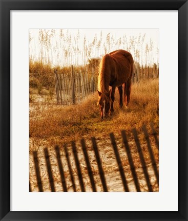 Framed Solitary Light Print