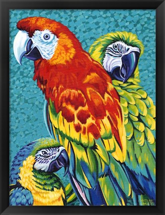 Framed Birds in Paradise III Print