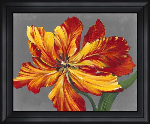 Framed Tulip Portrait I Print