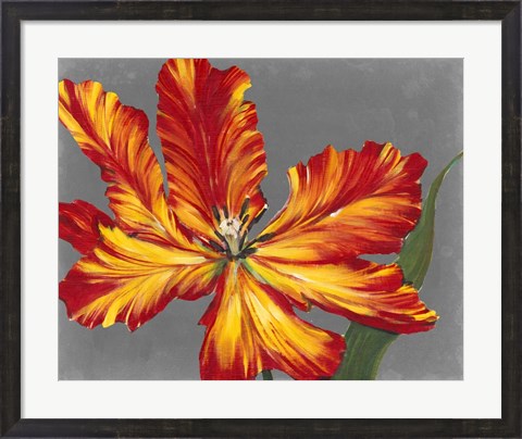 Framed Tulip Portrait II Print