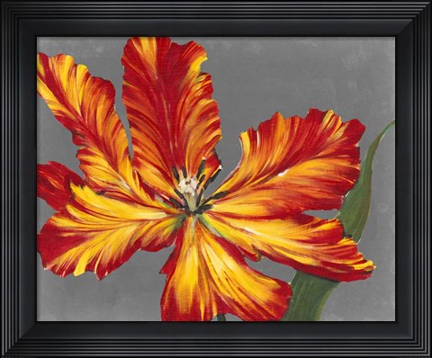 Framed Tulip Portrait II Print