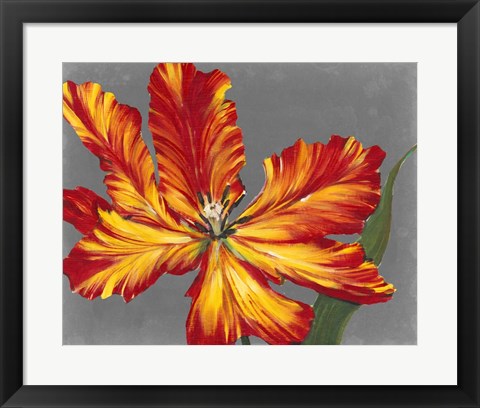 Framed Tulip Portrait II Print