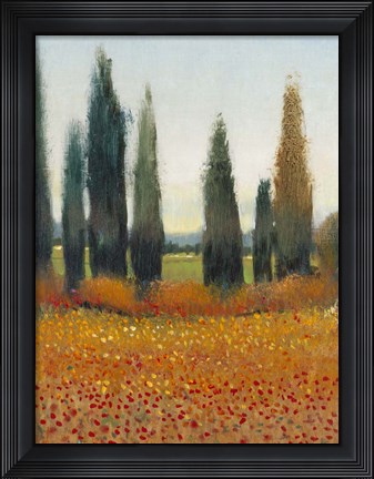Framed Cypress Trees I Print
