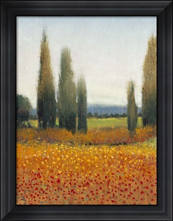 Framed Cypress Trees II Print