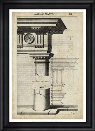 Framed Ancient Architecture IV Print