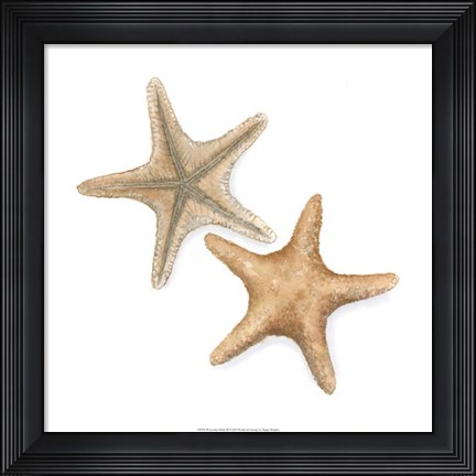 Framed Watercolor Shells III Print