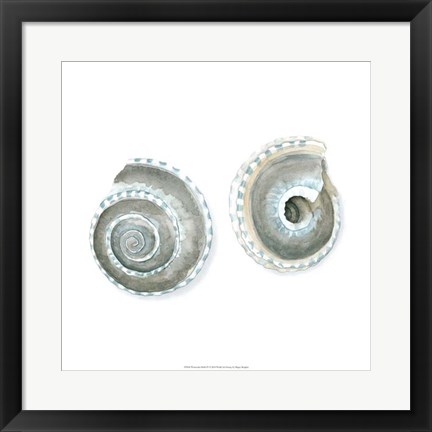 Framed Watercolor Shells IV Print