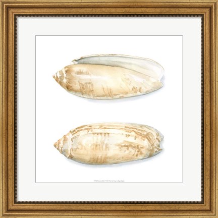 Framed Watercolor Shells V Print