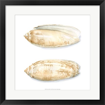 Framed Watercolor Shells V Print