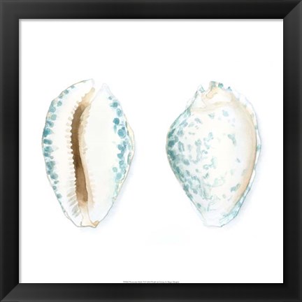 Framed Watercolor Shells VI Print