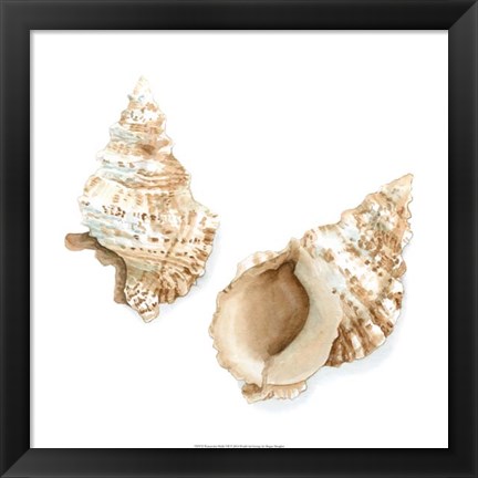 Framed Watercolor Shells VII Print