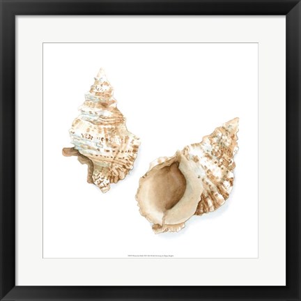 Framed Watercolor Shells VII Print