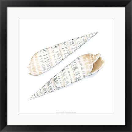 Framed Watercolor Shells IX Print