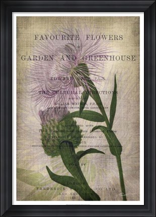 Framed Favorite Flowers II Print