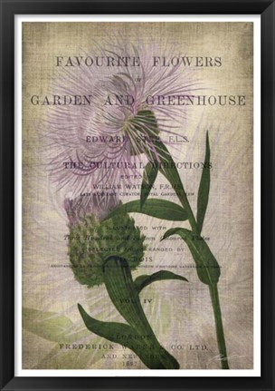 Framed Favorite Flowers II Print