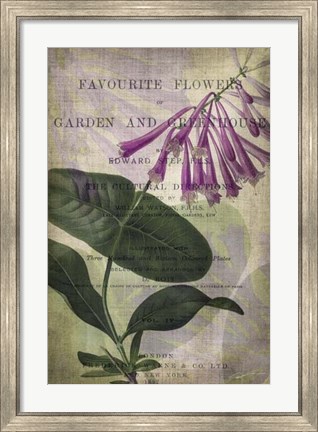 Framed Favorite Flowers III Print