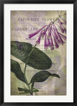 Framed Favorite Flowers III Print