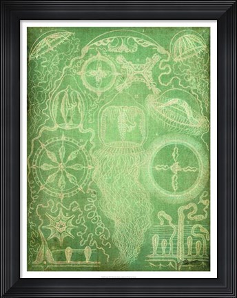 Framed Sealife III Print