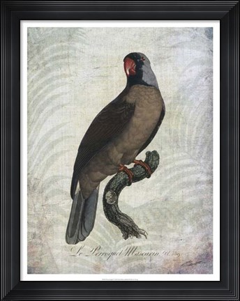 Framed Parrot Jungle I Print