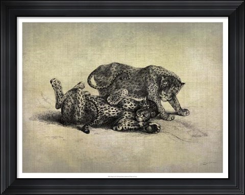 Framed Big Cats II Print