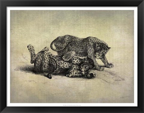 Framed Big Cats II Print