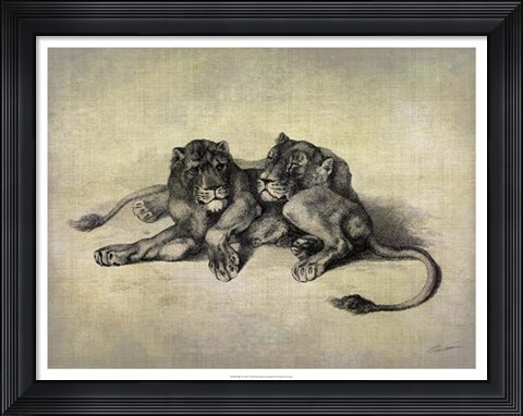 Framed Big Cats III Print