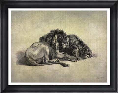 Framed Big Cats IV Print