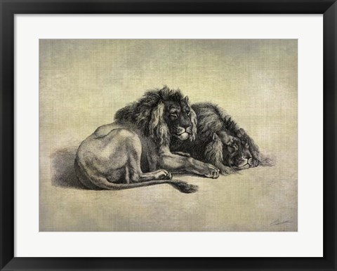 Framed Big Cats IV Print