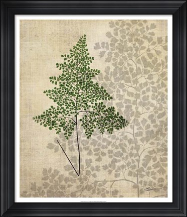 Framed British Ferns I Print