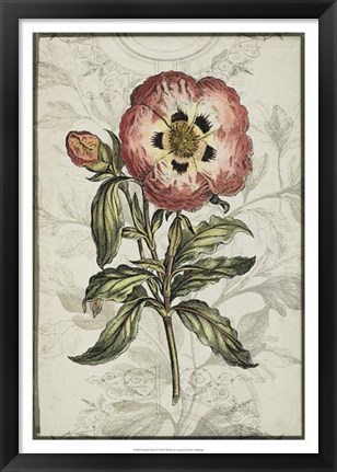 Framed Keepsake Floral II Print