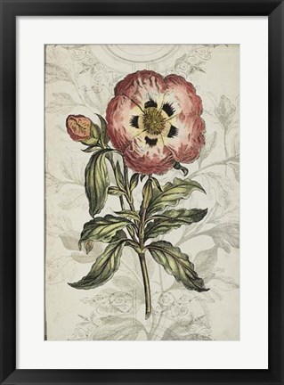Framed Keepsake Floral II Print