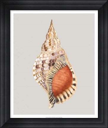 Framed Giant Triton Print