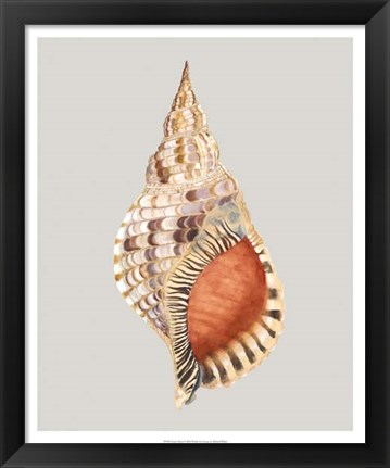 Framed Giant Triton Print