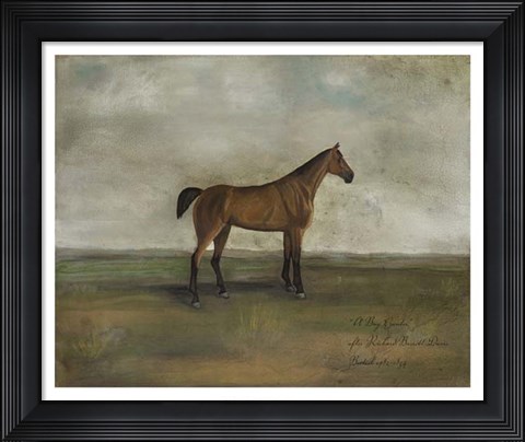 Framed Bay Hunter Print