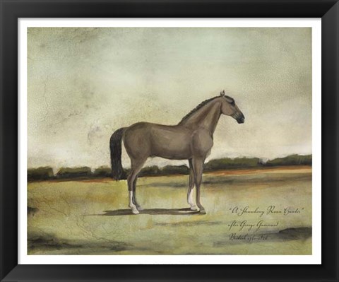 Framed Strawberry Roan Hunter Print