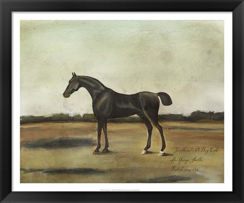 Framed &quot;&quot;Trentham,&quot;&quot; A Bay Colt Print